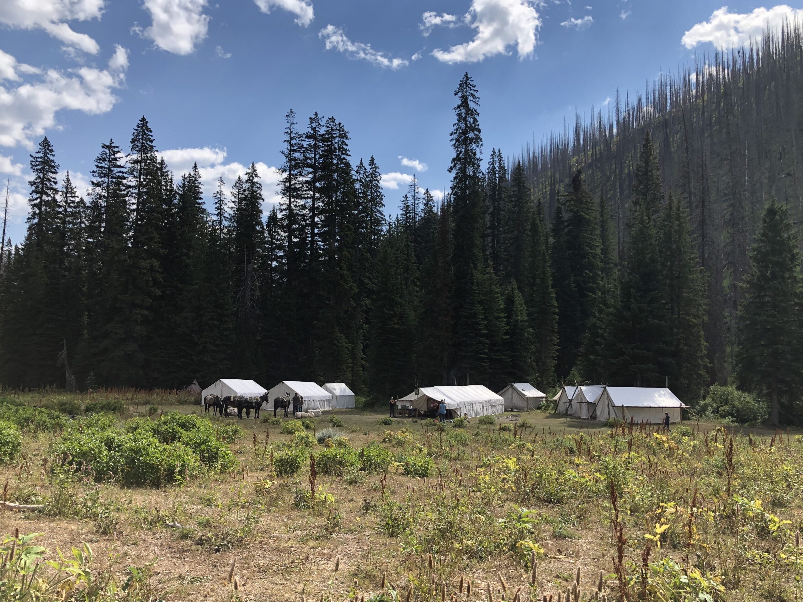 Wilderness hunt base camp in Leota Park in the head of the Young’s Creek drainage