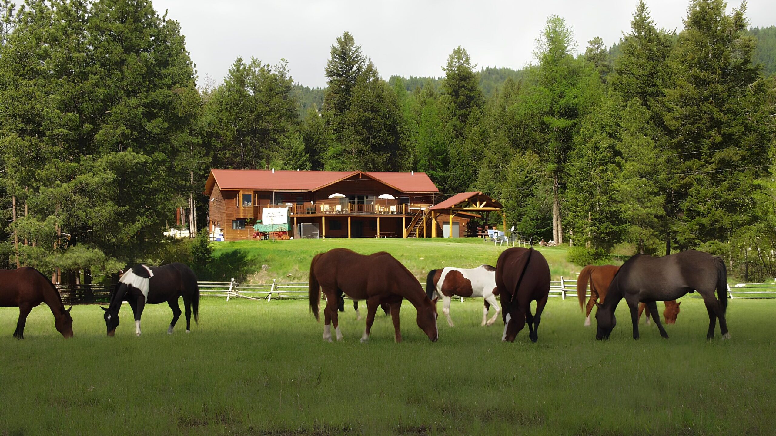 The main lodge at the Rich Ranch overlooks horses grazing in the pastures