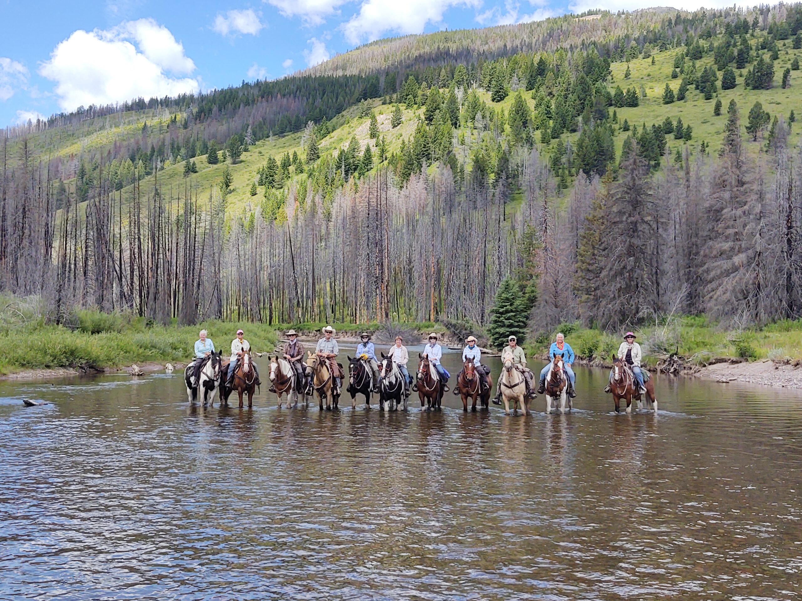 Guests pause after watering their horses in a mountain stream in the Bob Marshall Wilderness